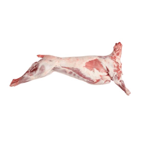 Lamb Meat