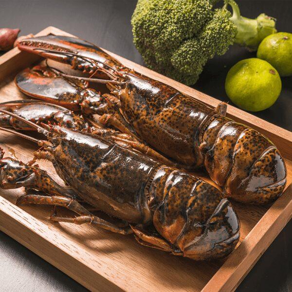 Live Seafood