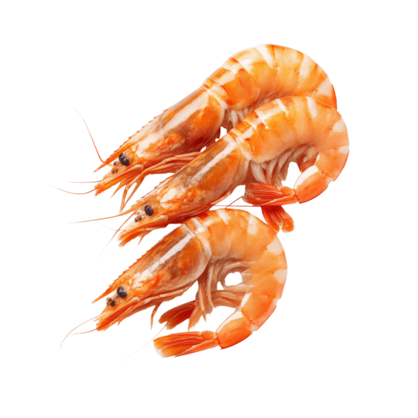 Shrimps