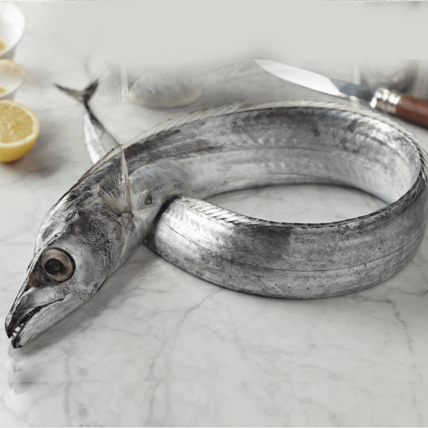 Beltfish