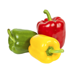 Capsicum
