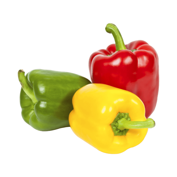 Capsicum