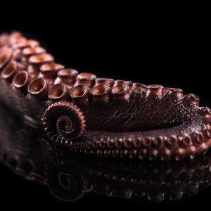 cooked-octopus-tentacles-frozen Cooked Octopus Tentacles – Frozen