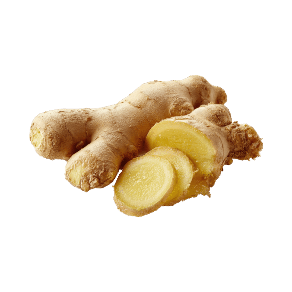 ginger Ginger
