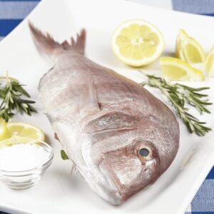 koffer-king-soldier-bream Koffer / King Soldier Bream