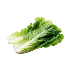 Lettuce