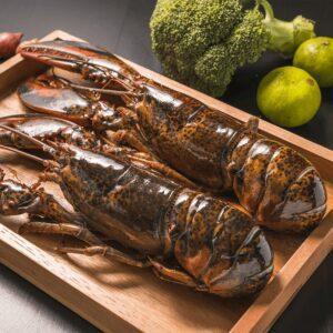 Live Lobster Large