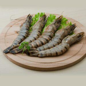Marine Prawns – Medium