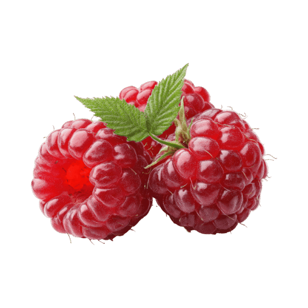 raspberry Raspberry