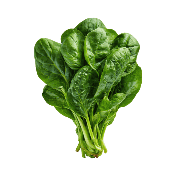 Spinach