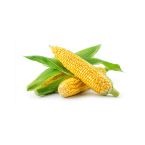 Sweet Corn