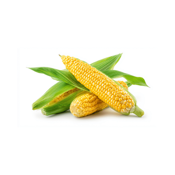 Sweet Corn
