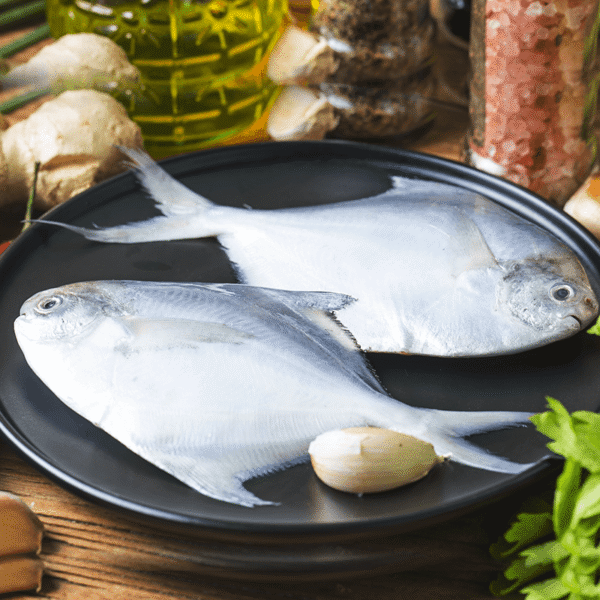 White Pomfret Medium